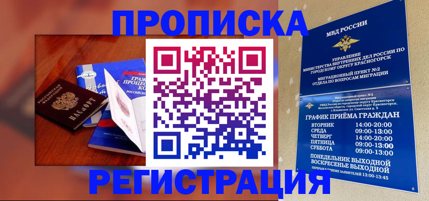 временная регистрация для школы в Оленегорске